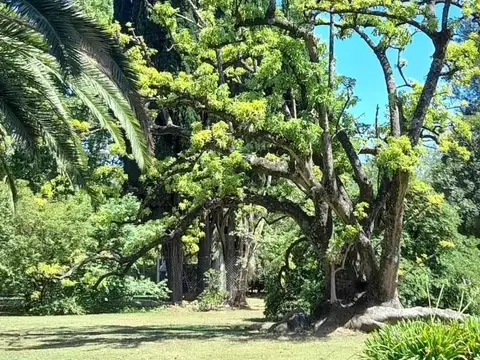Terreno - Venta - Argentina, Villa de Mayo - Cosme Argerich 1546