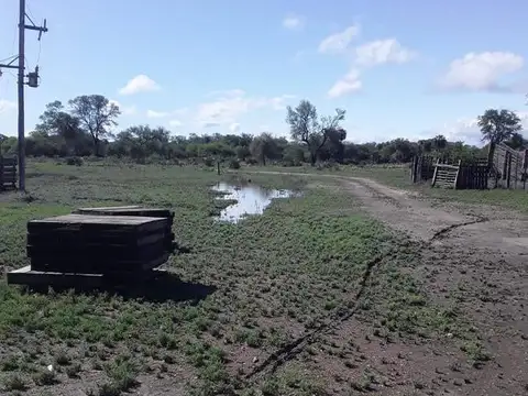 Campo  con mejoras, electricidad y título - Mariano Boedo- Formosa