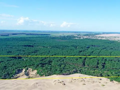 Arenas Verdes, Loberia - 55 has. Bosque y mar