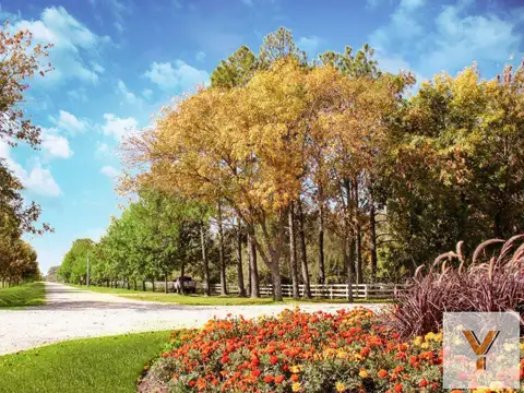 Terreno en venta - 2430Mts2 - Fincas de San Vicente