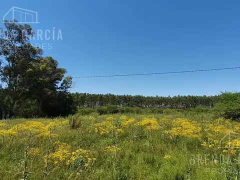 Terreno en Venta de 3440,0 m2