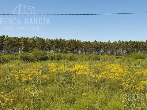 Terreno en Venta en Colon, USD 20.000