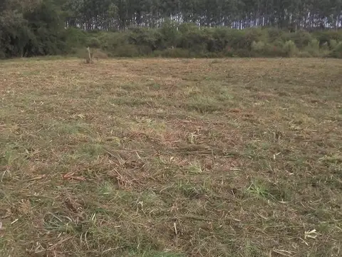 Terreno en Venta de 3440,0 m2