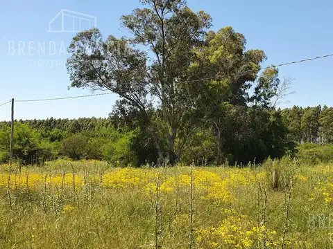 CAMINO A LA ALDEA CERCA DE COLONIA HUGES
