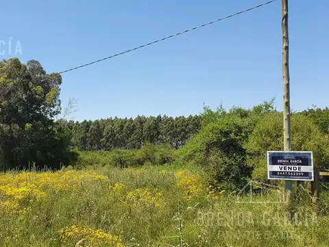 Terreno en Venta en Colon, USD 20.000
