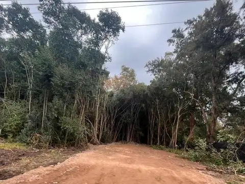 Terreno en Venta en Monteverde, USD 60.000