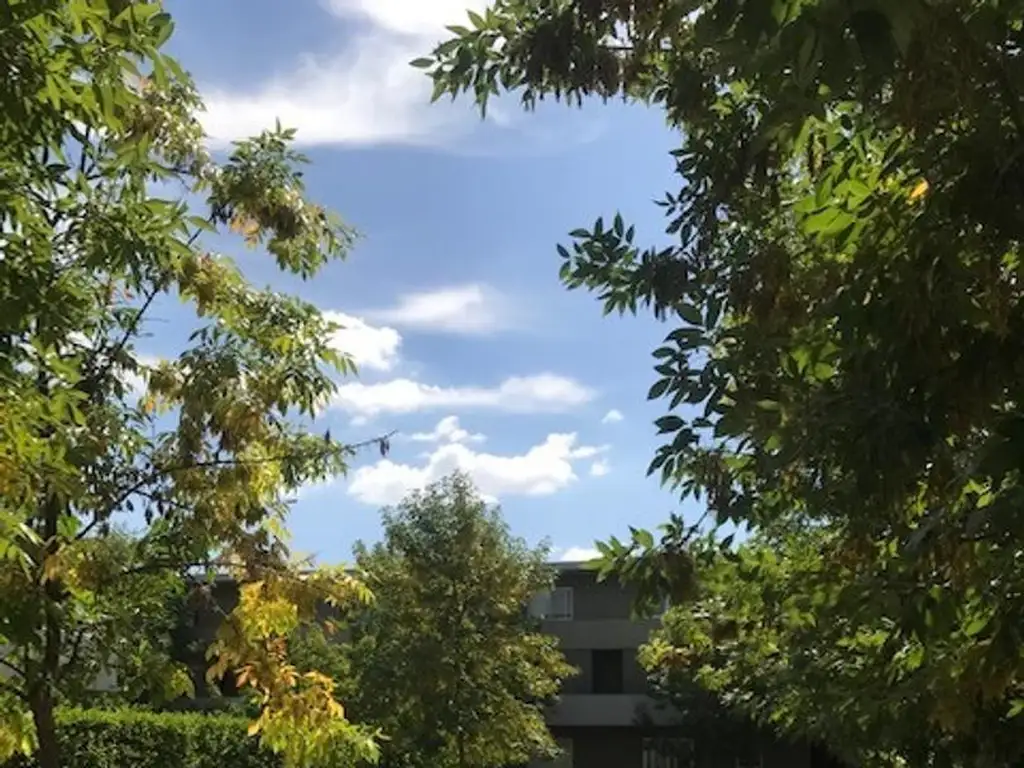 Excelente departamento en venta planta baja en Bosque Alto - Foto 27