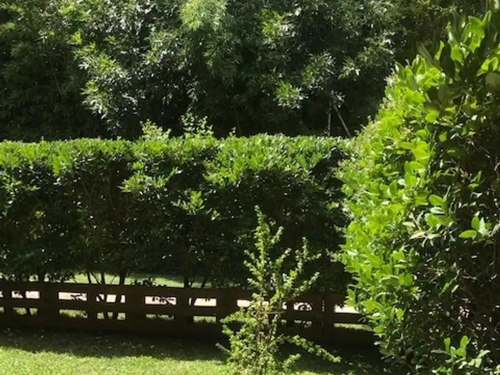 Excelente departamento en venta planta baja en Bosque Alto - Foto 14