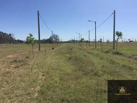 Terreno  en venta en Tierra de sueños Casilda