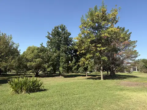 Lote/Terreno 1005m2 en Venta en Los Alcanfores - Pilar KM 56