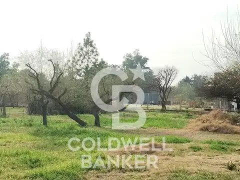 Terreno en Venta 20  mts Frente