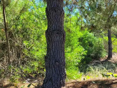 VENTA LOTE COSTA ESMERALDA FONDO LIBRE OPORTUNIDAD