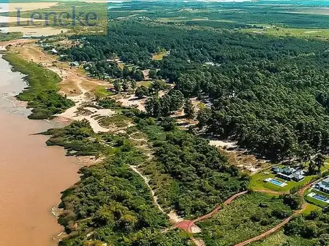 El pinar