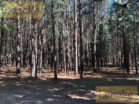 Terreno en Venta en Carmelo, USD 550.000