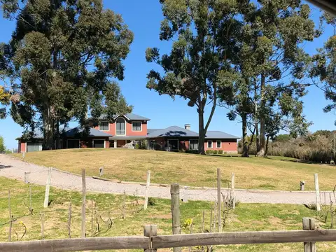 El pinar