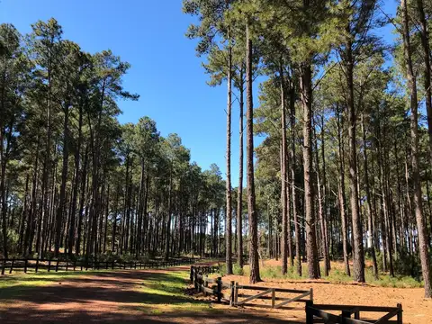 Terreno en Venta en Carmelo, USD 550.000