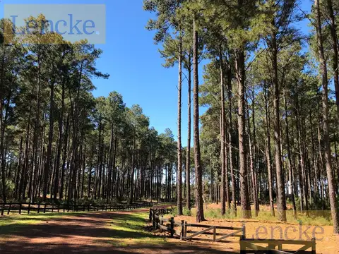 Terreno en Venta en Carmelo, USD 550.000