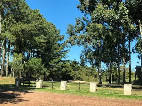 Terreno en Venta en Carmelo, USD 550.000