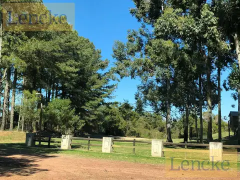Terreno en Venta de 16000,0 m2