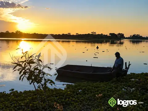 Campo ganadero con agua permanente  10400 ha | R.N. 81 | Rivadavia, Salta