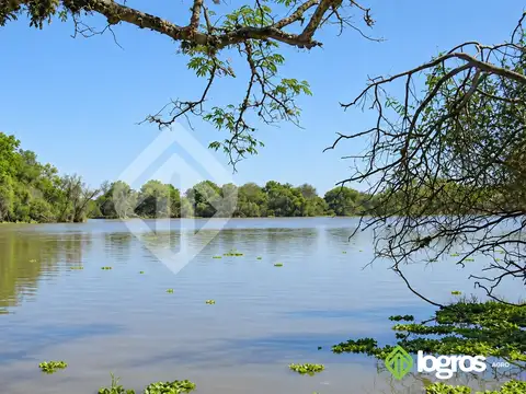 Campo ganadero con agua permanente  10400 ha | R.N. 81 | Rivadavia, Salta