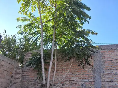 Lote en Venta Las Heras