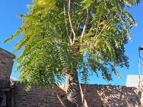 Terreno en Venta de 211,0 m2