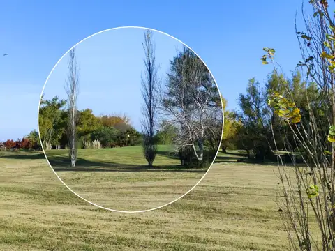 Terreno en Venta en Colonia del Sacramento, USD 75.000