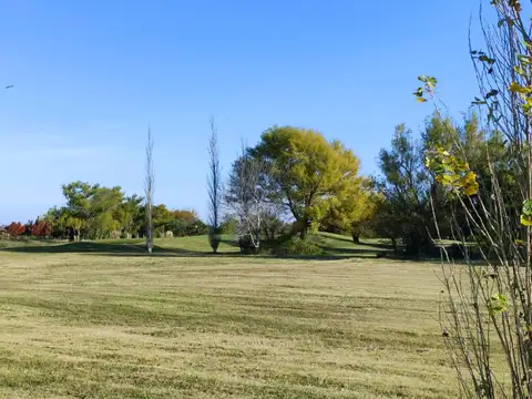 Avenida Rubén Falero 100