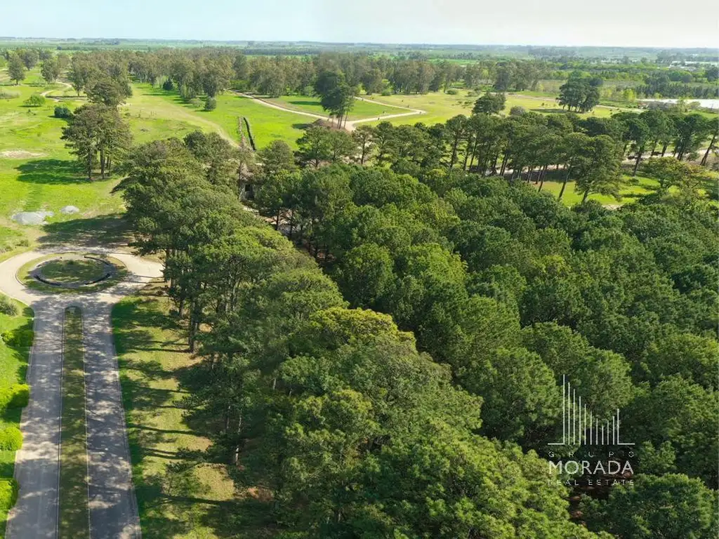 Lotes en Pinares C.C. Exaltacion de la Cruz - Foto 15