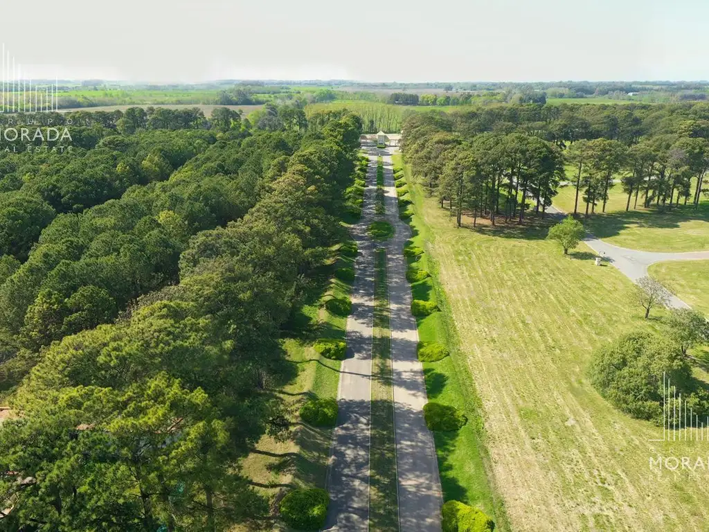 Lotes en Pinares C.C. Exaltacion de la Cruz - Foto 17