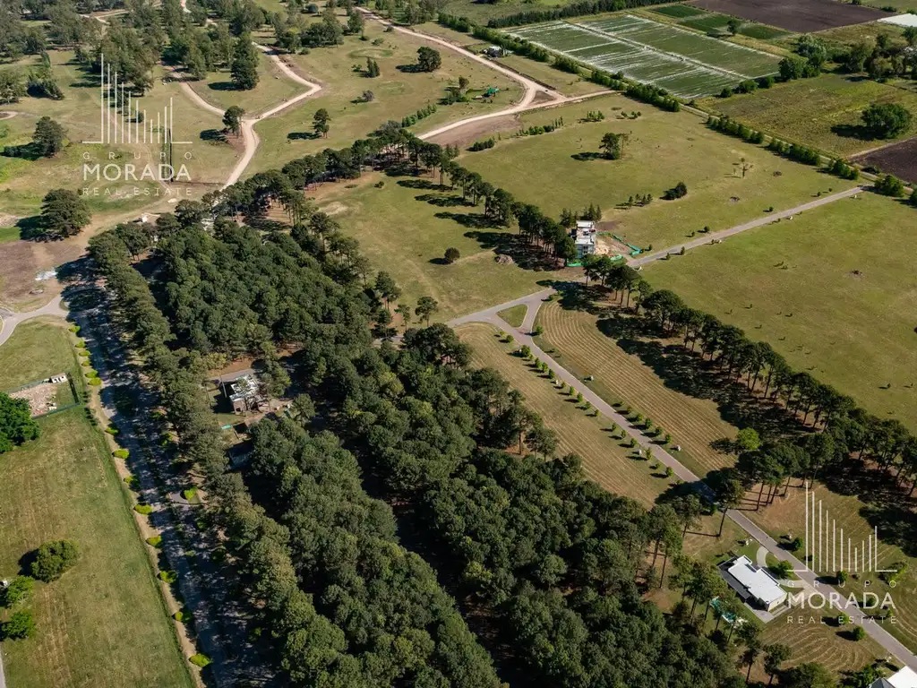 Lotes en Pinares C.C. Exaltacion de la Cruz - Foto 16