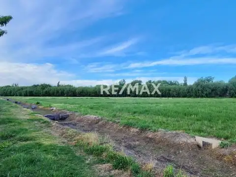 CHACRA EN VENTA DE 5 HA, SERVICIOS.