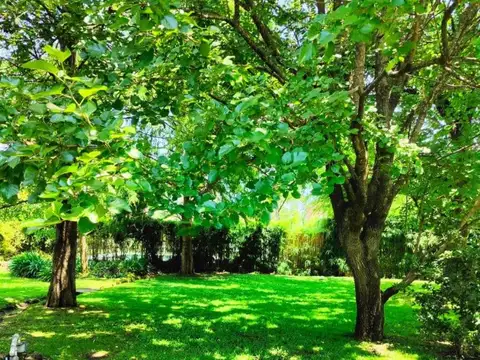 Terreno en Venta en Septiembre, USD 135.000