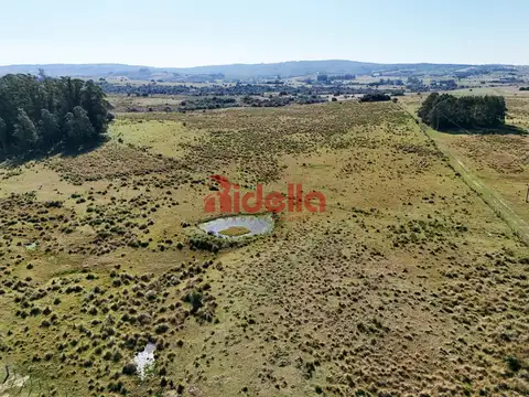 Chacra 5 hectareas - 100