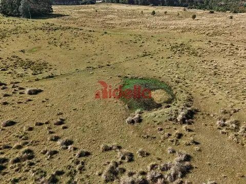 Chacra 5 hectareas - 100