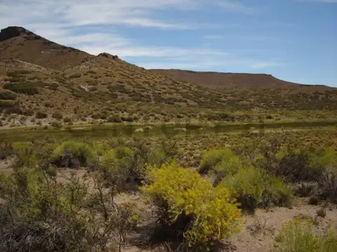 VENTA CAMPO BARILOCHE JACOBACCI - OVEJERO Y GANADERO