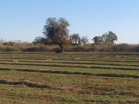 VENTA CAMPO 15 HAS C/ CASA VILLA DEL SOTO, CBA