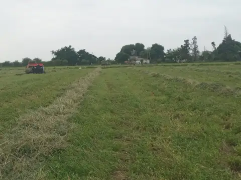 VENTA CAMPO 15 HAS C/ CASA VILLA DEL SOTO, CBA