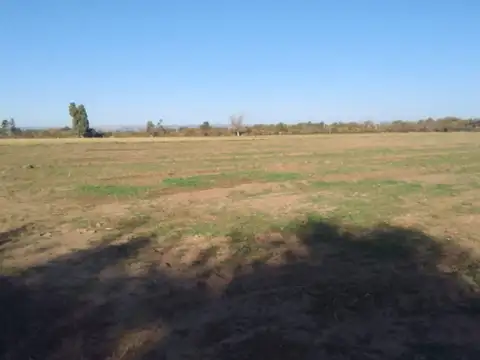 VENTA CAMPO 15 HAS C/ CASA VILLA DEL SOTO, CBA