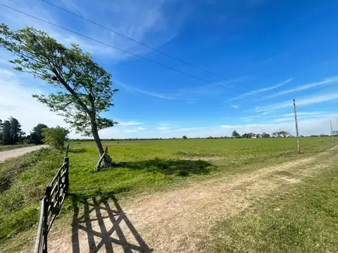 Campo 60 hectareas en venta ganadero mixto