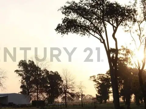 Ruta Provincial 6 100, General Rodriguez, General Rodriguez, Buenos Aires , Piso 0