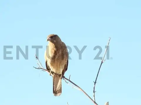 Casa en Venta en Countries y Barrios Cerrados en General Rodriguez, USD 18.000