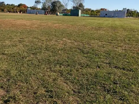 Trinidad y Av. Mitre Pilar