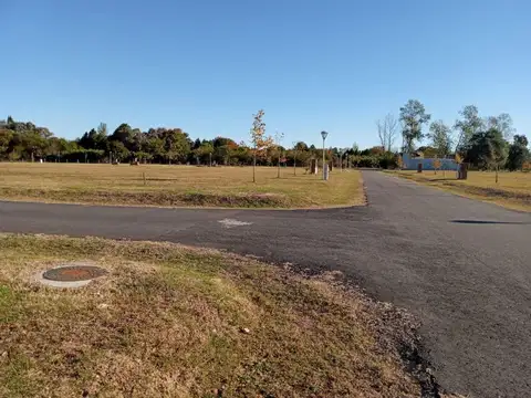 TERRENO/LOTES .EL ALJIBE MANZANARES PILAR