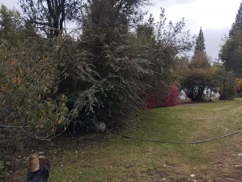 Casa en Venta de 1 dormitorio