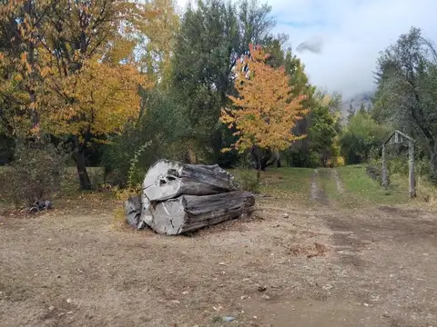 (063) BOLSON (Los Repollos), Chacra de 7,3Has. con tres viviendas