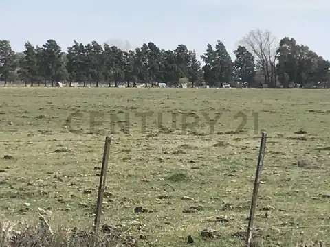 Venta campo de 12 Hectáreas a metros del ingreso a Pardo, Partido de LAS FLORES