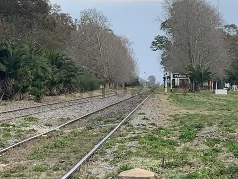 Venta campo de 12 Hectáreas a metros del ingreso a Pardo, Partido de LAS FLORES