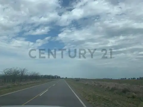 Ruta 3 km 214